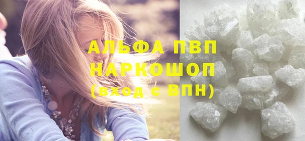 тгк Инсар