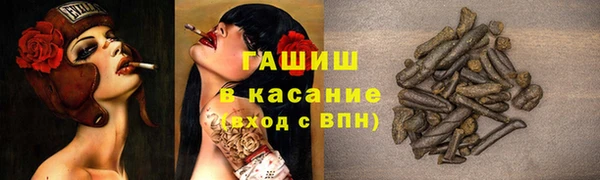 тгк Инсар