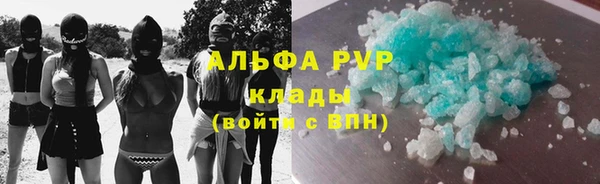 тгк Инсар