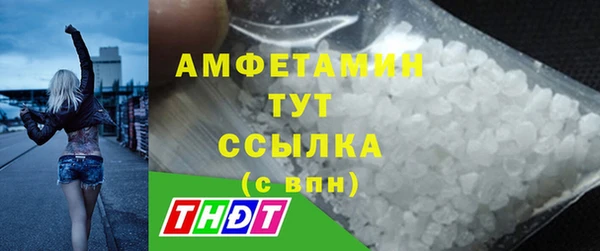 тгк Инсар