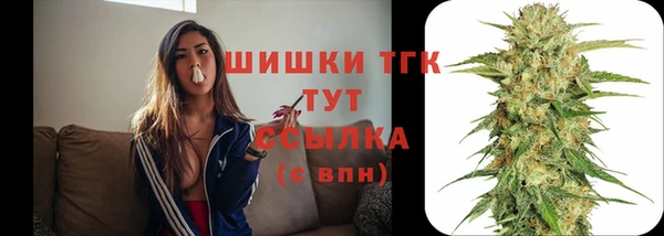 первитин Инта