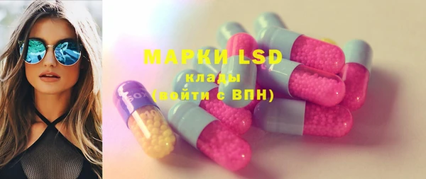 тгк Инсар