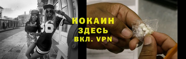 тгк Инсар