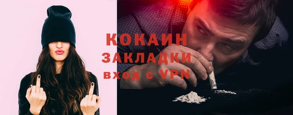 тгк Инсар