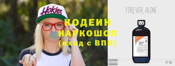 тгк Инсар
