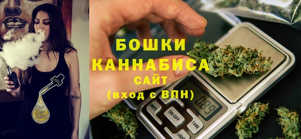 тгк Инсар