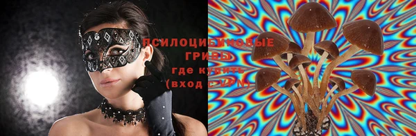 тгк Инсар